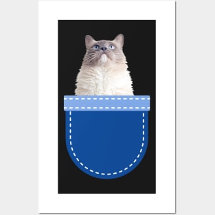Cat in Pocket (Ragdoll Cat) Posters and Art